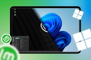 Linux Mint VS Windows 11